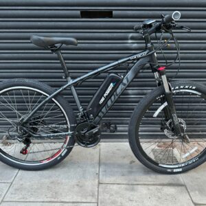 Wildcat Electric Bike